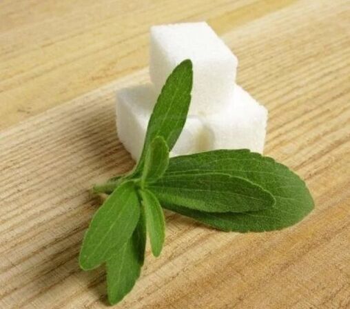 Stevia - substituto do azucre
